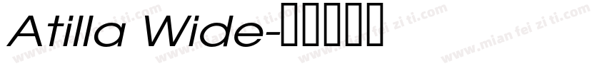 Atilla Wide字体转换